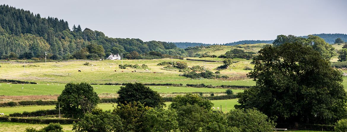 Galloway farmland with hedgerows and woodland